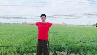 于正新爆料娱乐圈,于正新爆料，明星幕后故事大曝光